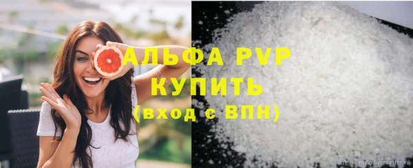 СК Гусь-Хрустальный
