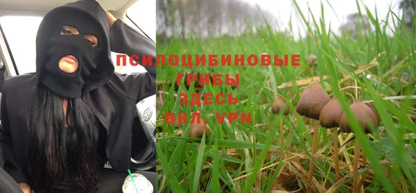 каннабис Гусев