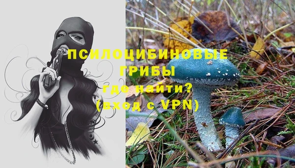 каннабис Гусев