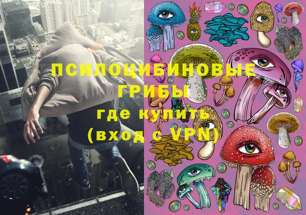 СК Гусь-Хрустальный