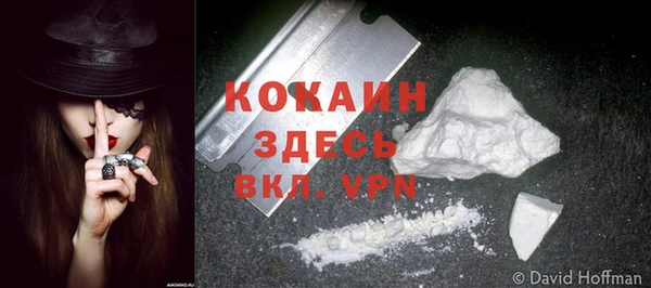 СК Гусь-Хрустальный