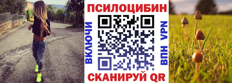 МЕГА маркетплейс  Егорьевск  Галлюциногенные грибы мухоморы 
