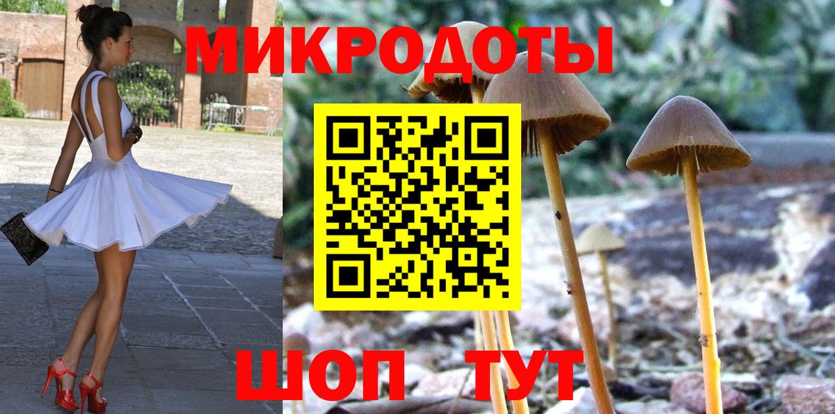 Егорьевск  Псилоцибиновые грибы прущие грибы  Вход с VPN 