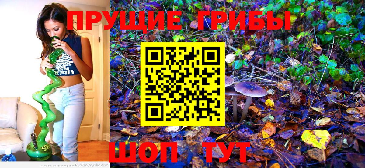 Галлюциногенные грибы прущие грибы Егорьевск